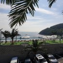 블루망고풀빌라앤리조트 이미지