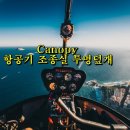 캐노피(canopy) 이미지