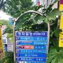 세븐일레븐 금호점 이미지