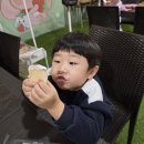 수혁농장 이미지