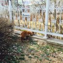 오드그루밍 이미지