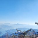 윌경로당 이미지