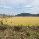 장항리 마을회관 이미지