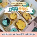 성분도비둘기공부방 이미지