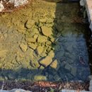 상암1리 이미지