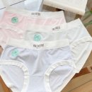 찰랑스판 비스코스 모달 팬티5장 세트 이미지