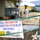 대인농장3 이미지