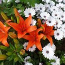 동화어린이공원 이미지