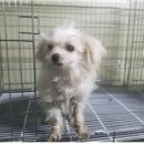 좌천동 주민센터 이미지