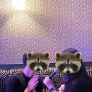 대구보링 | 봄 ~ 여름 일상 (대구, 왕거미식당, 미가훠궈)