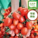 톡Tok 이미지