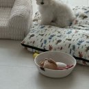 꼬망모르 이미지