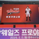 블루웨일즈