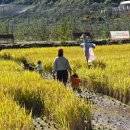 장선마을 이미지