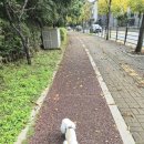 가재울 공원 이미지