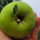 환희2농장 이미지