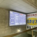 [여의도 점심 추천] 샌디샐리 샌드위치 후기 / 여의도 점심 추천 :) 한강에서 먹으면 딱이야!