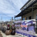 하화낭만 이미지