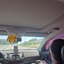 덕흥해수욕장2 | 밧개해수욕장 근처, 나인독스 애견펜션에서의 가족 힐링 여행(내돈내산,솔직후기)