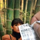 공명(共鳴) | [영화] 공작새 후기 - 공명 발색 in[人] 대나무 성깔