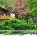 호텔정관루별관(게스트하우스) 이미지