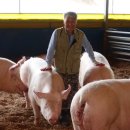 복지농장 이미지