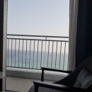 안녕동해야 이미지