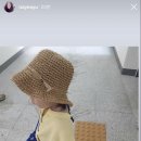 소담스럽고 예쁜 이미지