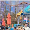 단국대 라이온태권도장 이미지