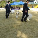 연암축산 이미지