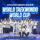 월드컵태권도 이미지