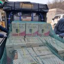 도장농장 이미지