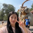 오픈주 | 파타야 여행 가볼만한 곳 마이리얼트립 타이클럽 카오키여우 오픈주 프라이빗 택시 투어 내돈내산 후기