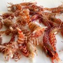 새우일 산소 이미지