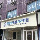 장승준동물치과병원 이미지