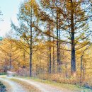 값싼 용서와 섣부른 용서 / 송봉모 신부 이미지