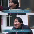 (주)에프씨코리아랜드 | 26년 4월 일상 (2) 첫 직관 그리고 도둑넘