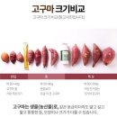 이홍규농장 이미지