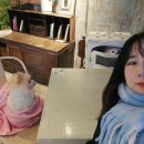 까비애견 | 제주도 <어느날,오길> 평대 애견동반 감성술집