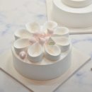 케이크우(cakewoo)