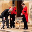 왕실동물병원 이미지