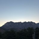 더엠브로시아 이미지