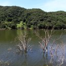 삼기저수지 등잔길 이미지