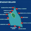 유영상회 | [시파단 #7] 전 세계 다이버들의 성지: 시파단 본섬 다이빙 포인트 리뷰