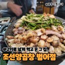 범어수영양곱창 | 조선양곱창 범어점 점보모듬한판 후기 | 대구 수성구 범어동 곱창 맛집