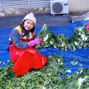 효성의집 이미지