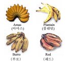 바나나의 성분 및 효능 이미지