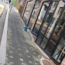 안암초등학교 이미지