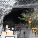 산목