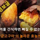 겨울 간식하면 빠질수없는 군고구마의 놀라운 효능? 이미지